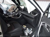 Miniaturka zdjęcia 5
