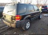 Miniaturka zdjęcia 4
