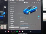 Miniaturka zdjęcia 7