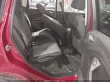 Miniaturka zdjęcia 8
