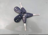 Miniaturka zdjęcia 11