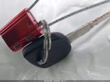 Miniaturka zdjęcia 11