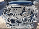 Miniaturka zdjęcia 10