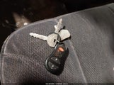 Miniaturka zdjęcia 11