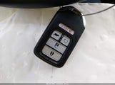 Miniaturka zdjęcia 11