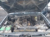 Miniaturka zdjęcia 10