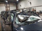 Miniaturka zdjęcia 6