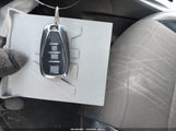 Miniaturka zdjęcia 11