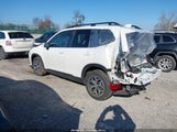 Miniaturka zdjęcia 3