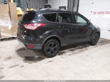Miniaturka zdjęcia 4
