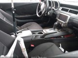 Miniaturka zdjęcia 5