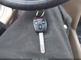 Miniaturka zdjęcia 11