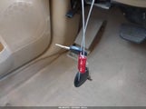 Miniaturka zdjęcia 11