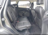 Miniaturka zdjęcia 8