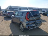 Miniaturka zdjęcia 3