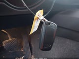 Miniaturka zdjęcia 11