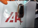Miniaturka zdjęcia 11
