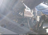 Miniaturka zdjęcia 8