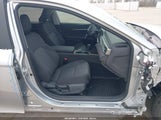 Miniaturka zdjęcia 5