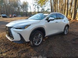 Lexus Nx 350H Luxury JTJHKCEZ9R2039478 fotografie