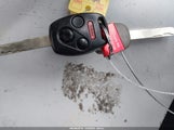Miniaturka zdjęcia 11