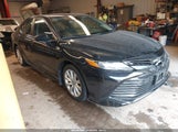 Miniaturka zdjęcia 1