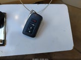 Miniaturka zdjęcia 11