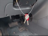 Miniaturka zdjęcia 11