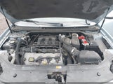 Miniaturka zdjęcia 10
