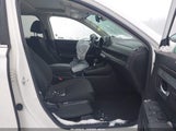 Miniaturka zdjęcia 5
