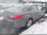 Hyundai Sonata Limited 5NPEC4AC5DH810651 снимка