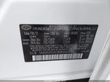 Hyundai Santa Fe Limited 5NMS4DAL1MH342138 fotografie