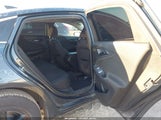 Miniaturka zdjęcia 8