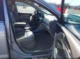 Miniaturka zdjęcia 5