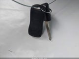 Miniaturka zdjęcia 11