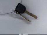 Miniaturka zdjęcia 11