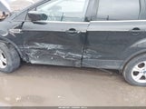 Miniaturka zdjęcia 6