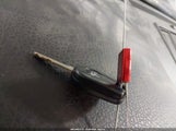 Miniaturka zdjęcia 11