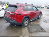 Toyota Rav4 Xle 2T3P1RFV6PW344361 fotografie