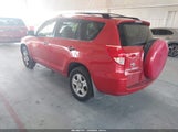 Miniaturka zdjęcia 3