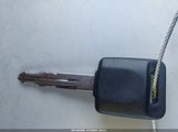 Miniaturka zdjęcia 11