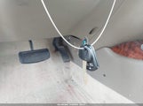 Miniaturka zdjęcia 11