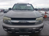 Chevrolet Trailblazer Fleet 1GNDT13S382101231 снимка