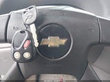 Miniaturka zdjęcia 11