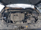 Miniaturka zdjęcia 10