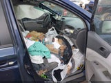 Kia Sedona Lx KNDMB233686210849 снимка