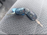 Miniaturka zdjęcia 11