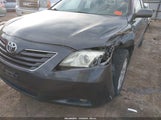 Toyota Camry Xle V6 4T1BK46K69U084054 photo