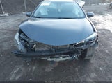 Miniaturka zdjęcia 10