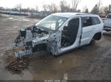 Miniaturka zdjęcia 2